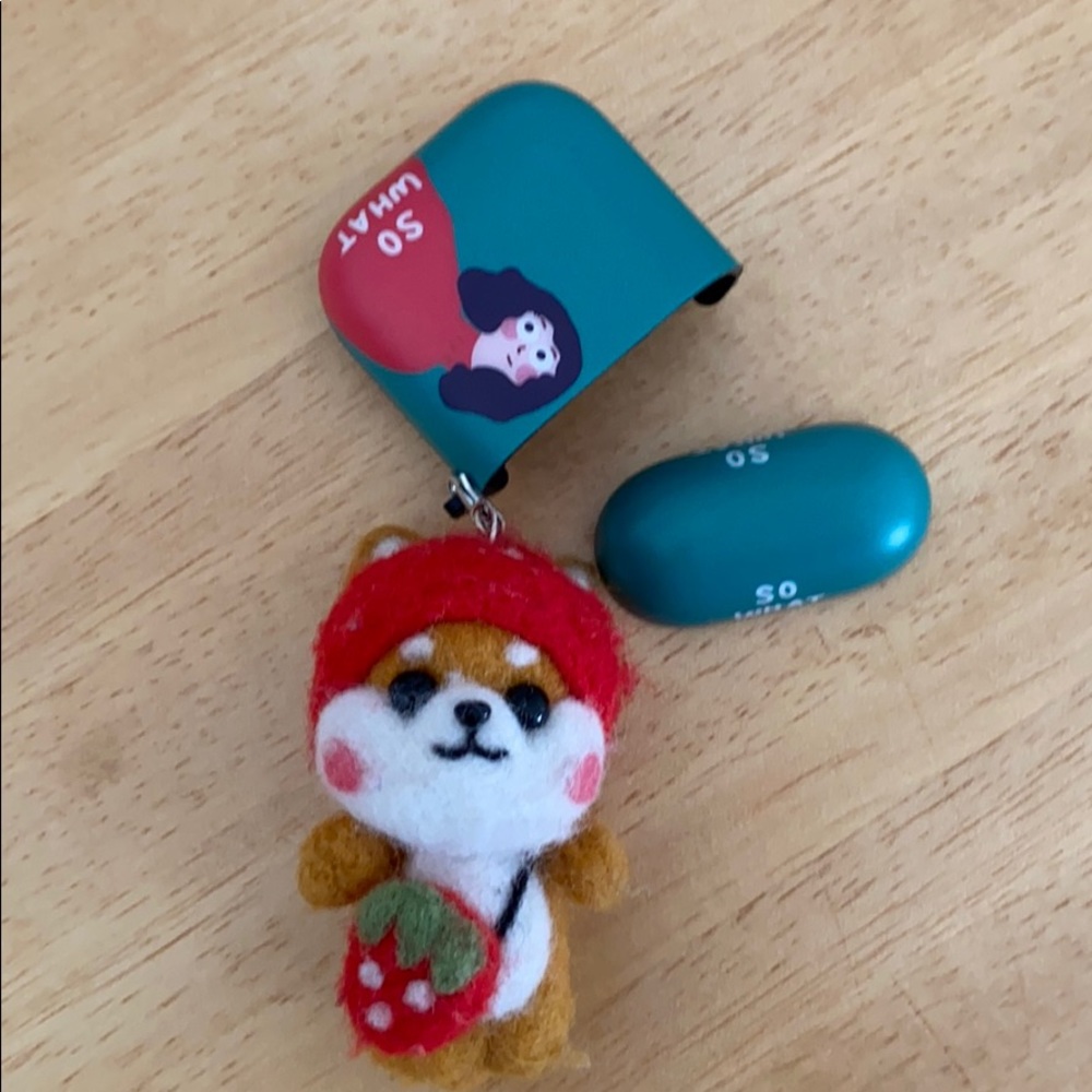 AirPod case